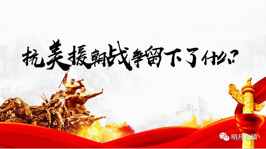 救援呆萌的猫